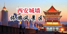 想看美女操逼的视频中国陕西-西安城墙旅游风景区