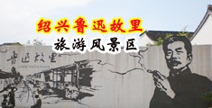草骚逼免费观看中国绍兴-鲁迅故里旅游风景区